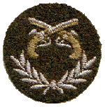 image of C Pro C Trades Badge - Service Police GP 2.