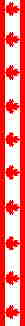 Canadian Flag banner