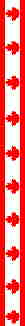 Canadian Flag banner.