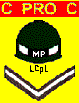 Provost Helmet logo